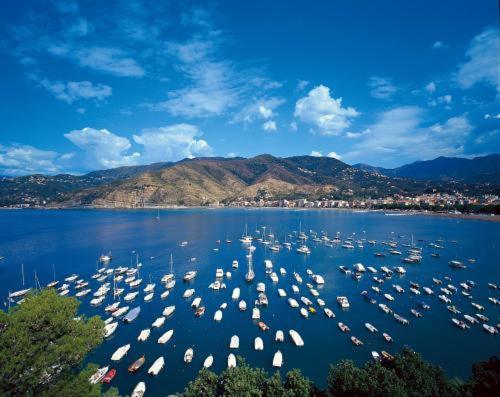 Grand Dei Castelli 4* Sestri Levante